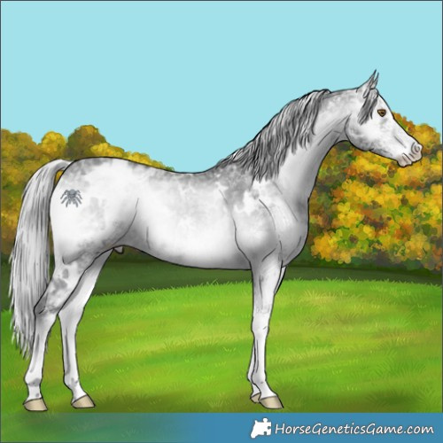 Horse Color:White Spotted Silver Blue Onyx Chinchilla Ice 