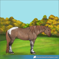 Horse Color:Liver Red Dun Tobiano Rabicano Brindle