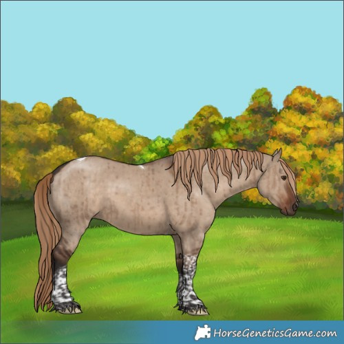 Horse Color:Liver Red Dun Tobiano Brindle 