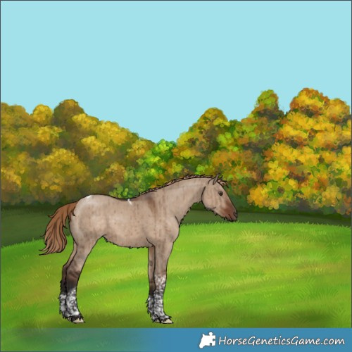 Horse Color:Liver Red Dun Tobiano Brindle 