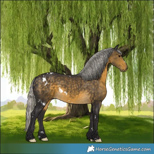 Horse Color:White Spotted Silver Buckskin 