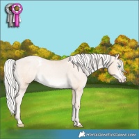 Horse Color:White Spotted Silver Buckskin Pearl Varnish Rabicano 