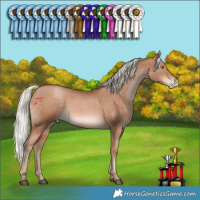 Horse Color:Silver Bay Pearl Varnish Rabicano 