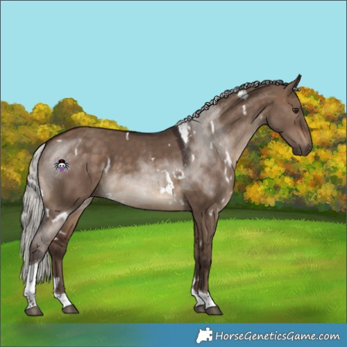 Horse Color:White Spotted Silver Brown Dun Tobiano 