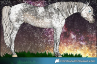 Horse Color:Gray Silver Smoky Black Splash Tobiano Appaloosa 