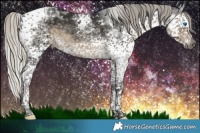 Horse Color:Gray Silver Smoky Black Splash Tobiano Appaloosa