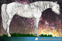 Horse Color:Gray Silver Smoky Black Splash Tobiano Snowflake Varnish