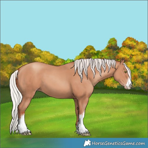 Horse Color:White Spotted Silver Classic Champagne 