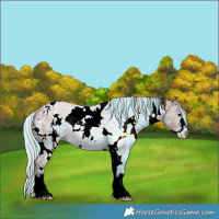 Horse Color:Painted White Spotted Silver Bay Ice Sabino 