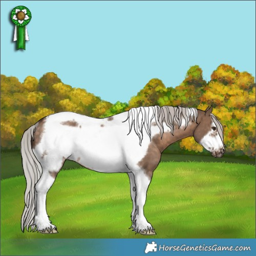 Horse Color:White Spotted Silver Brown Dun Tobiano Frame Rabicano 