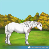 Horse Color:White Spotted Silver Brown Tobiano Frame
