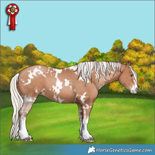 Horse Color:White Spotted Silver Black Pearl 