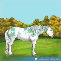 Horse Color:Watercolor White Spotted Silver Brown Sabino Splash Rabicano 
