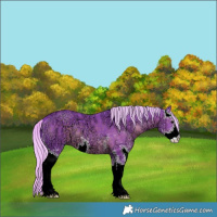 Horse Color:Watercolor Silver Black Ice Sabino