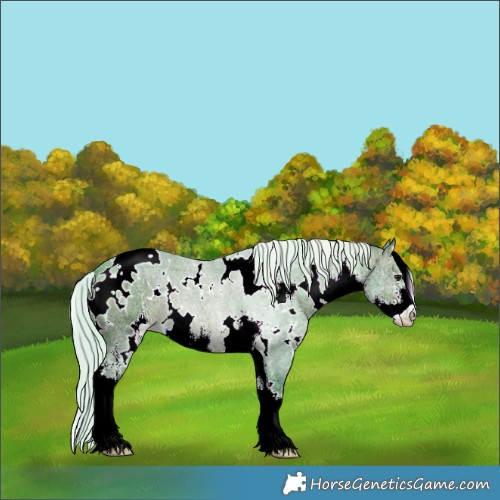Horse Color:Watercolor White Spotted Silver Brown Ice Sabino 
