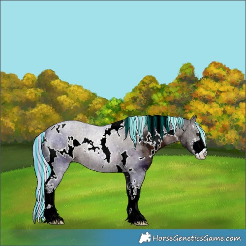 Horse Color:Painted White Spotted Silver Brown Ice 
