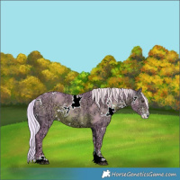 Horse Color:Watercolor White Spotted Silver Brown Ice Sabino