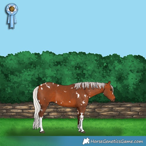 Horse Color:White Spotted Silver Brown 