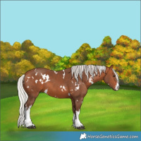 Horse Color:White Spotted Silver Brown 