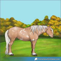 Horse Color:White Spotted Silver Black Pearl 