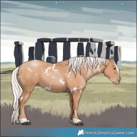 Horse Color:White Spotted Silver Black Pearl
