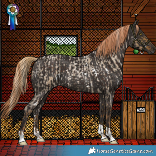 Horse Color:White Spotted Chocolate Palomino Roan Dun and Liver Chestnut