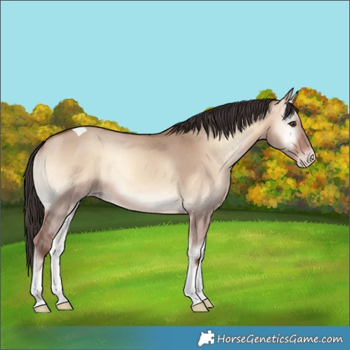 Horse Color:Amber Champagne Onyx Tobiano Rabicano 