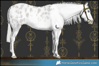 Horse Color:Platinum White Spotted Chocolate Palomino Dun Appaloosa Rabicano 