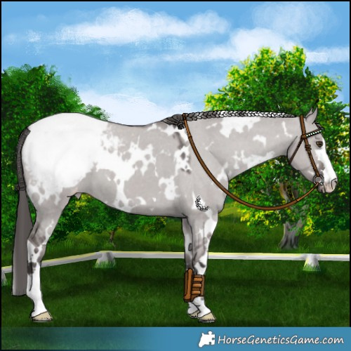 Horse Color:Platinum White Spotted Liver Red Dun Snowcap 
