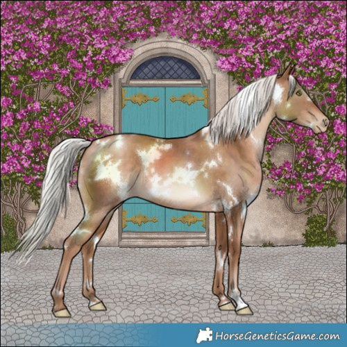 Horse Color:White Spotted Silver Brown Pearl 