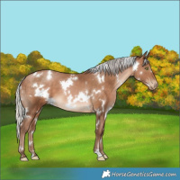 Horse Color:White Spotted Silver Brown Pearl 