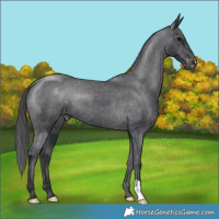 Horse Color:Black Varnish