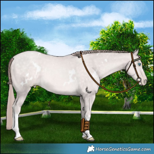 Horse Color:Platinum White Spotted Buckskin Pearl 