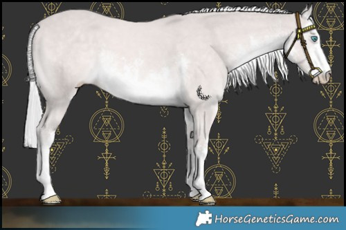 Horse Color:Platinum White Spotted Cremello Mushroom 