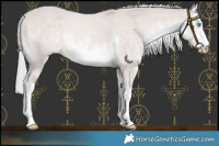 Horse Color:Platinum White Spotted Cremello Mushroom 