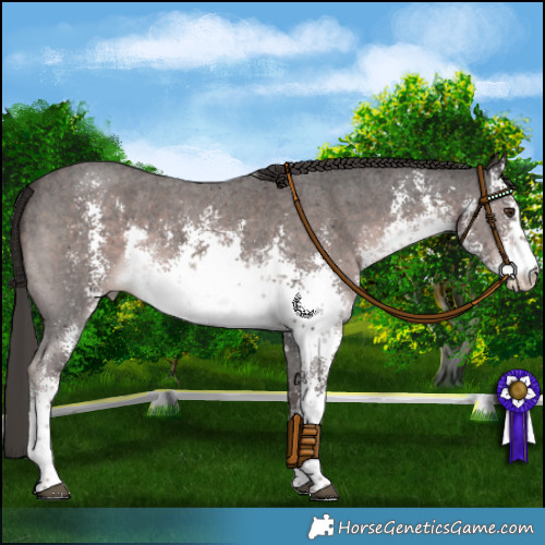 Horse Color:Platinum White Spotted Liver Chestnut Sabino Rabicano 
