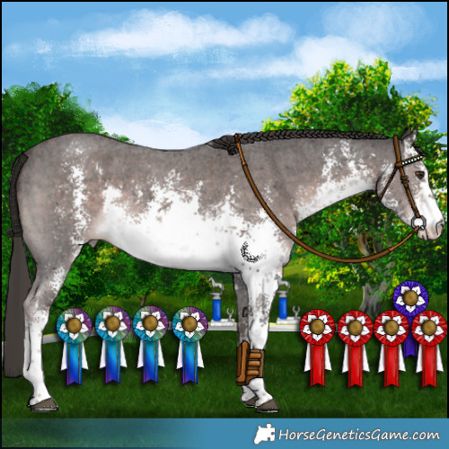 Horse Color:Platinum White Spotted Liver Chestnut Sabino Rabicano 