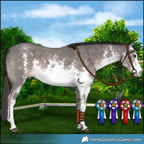 Horse Color:Platinum White Spotted Liver Chestnut Sabino Rabicano 
