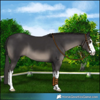 Horse Color:Platinum White Spotted Smoky Black 