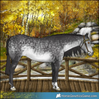 Horse Color:Platinum Buckskin Mushroom 
