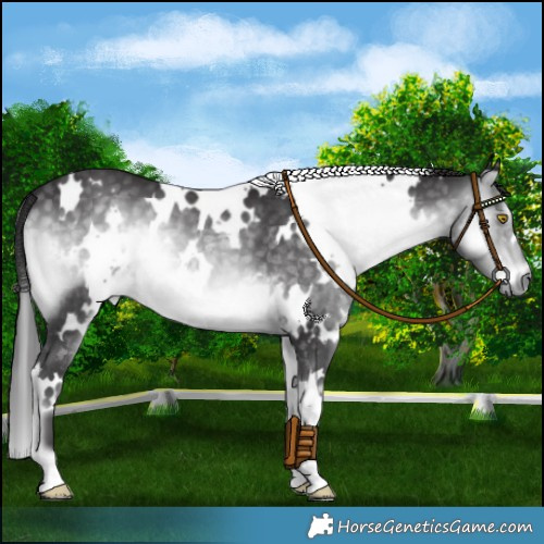Horse Color:Platinum White Spotted Buckskin Onyx Mushroom 