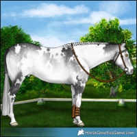 Horse Color:Platinum White Spotted Buckskin Onyx Mushroom