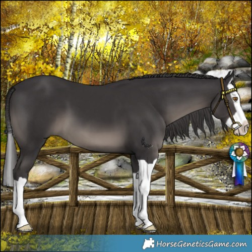 Horse Color:Platinum Smoky Black Splash 