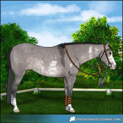 Horse Color:Platinum Brown Dun Sabino 