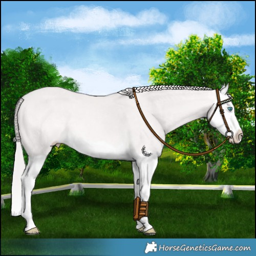 Horse Color:Platinum Perlino Splash 