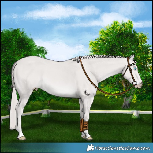 Horse Color:Platinum Smoky Creme 