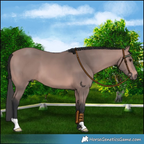 Horse Color:Platinum Bay 