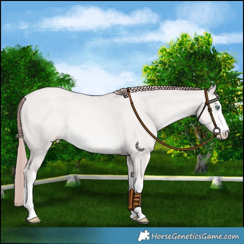 Horse Color:Platinum White Spotted Smoky Grullo Pearl 