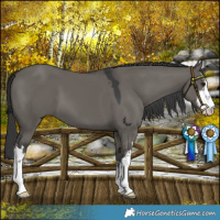 Horse Color:Platinum White Spotted Grullo