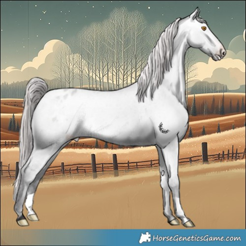 Horse Color:Platinum Buckskin Dun Varnish 